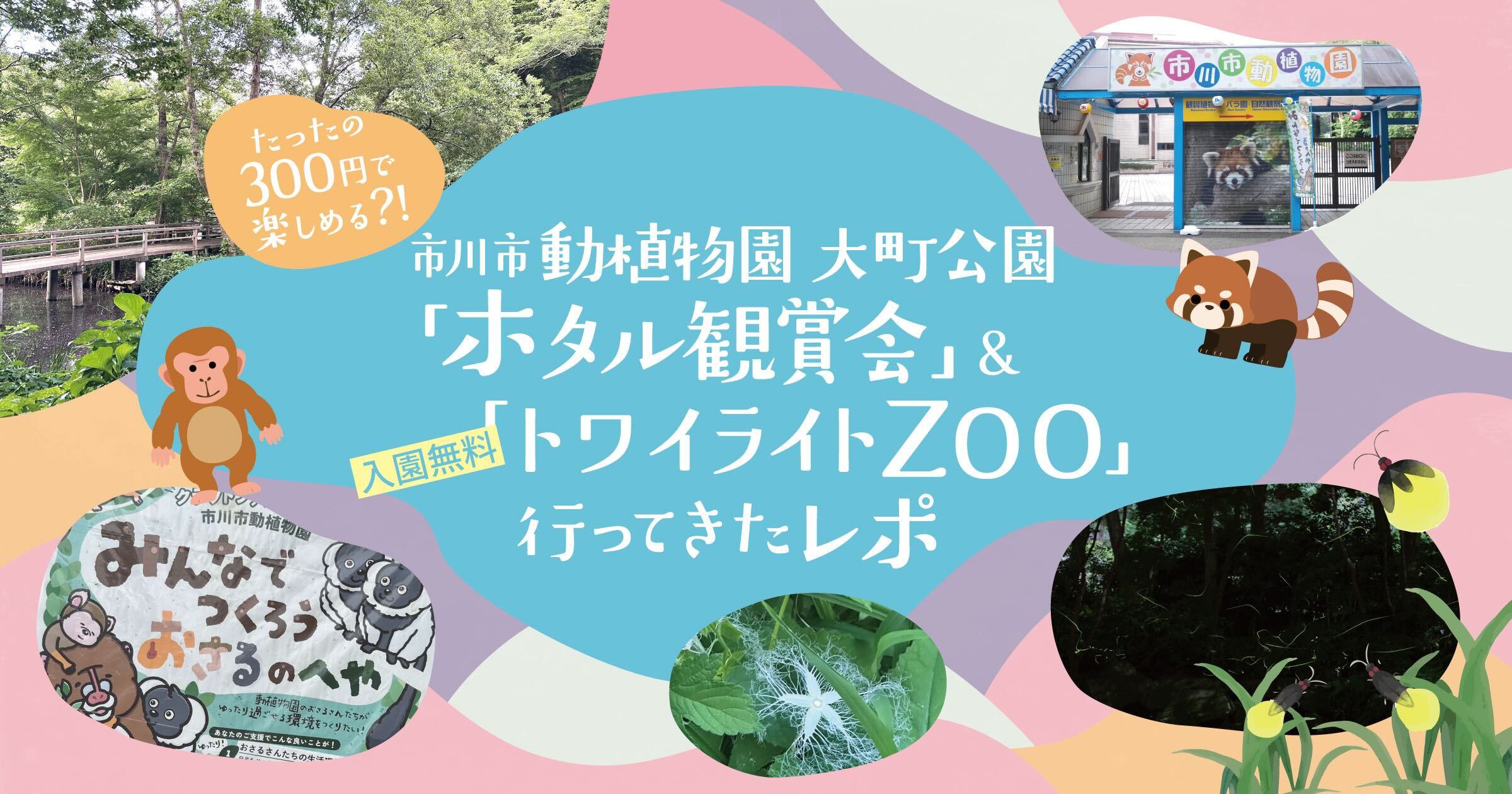 投稿サムネイル