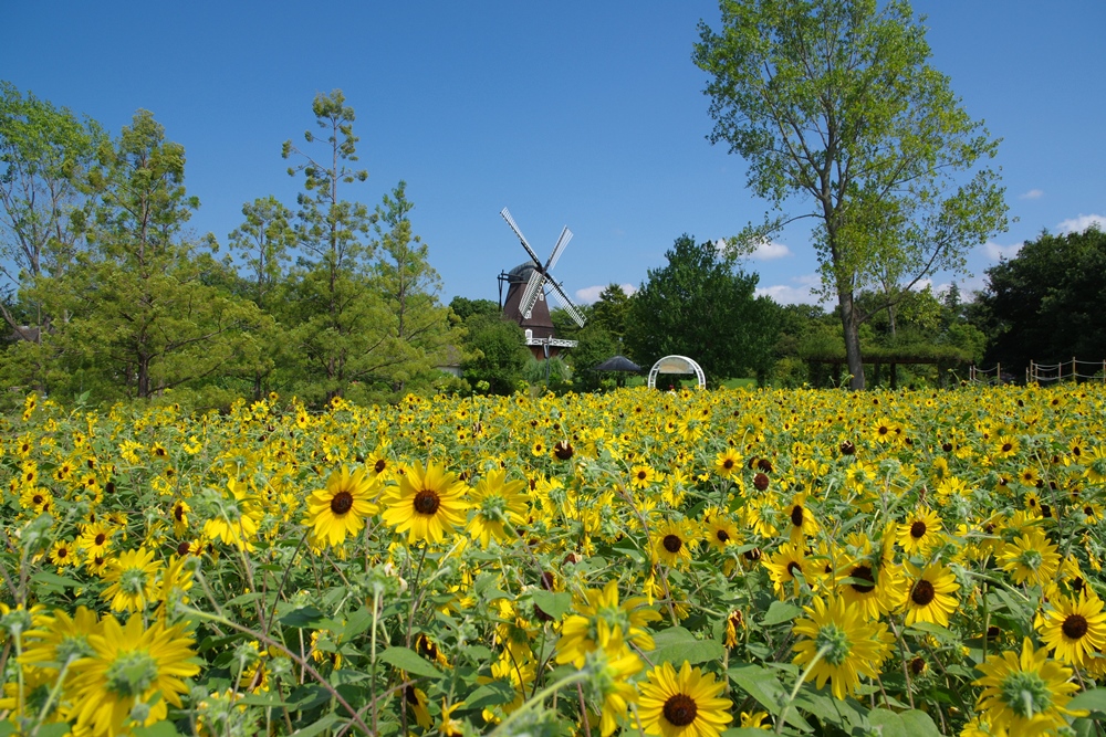 投稿サムネイル