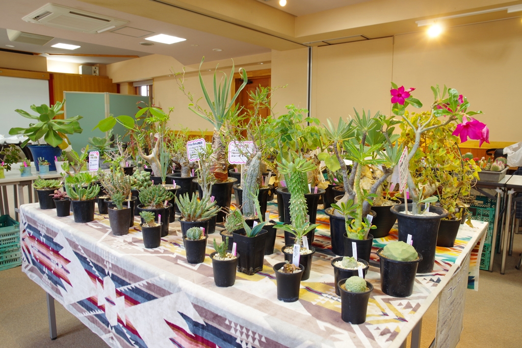 投稿サムネイル