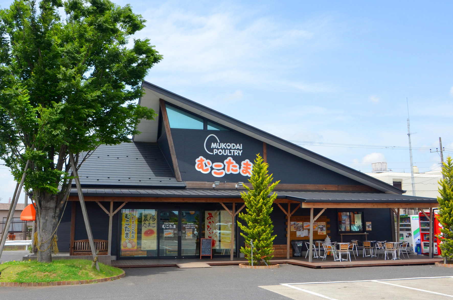 投稿サムネイル