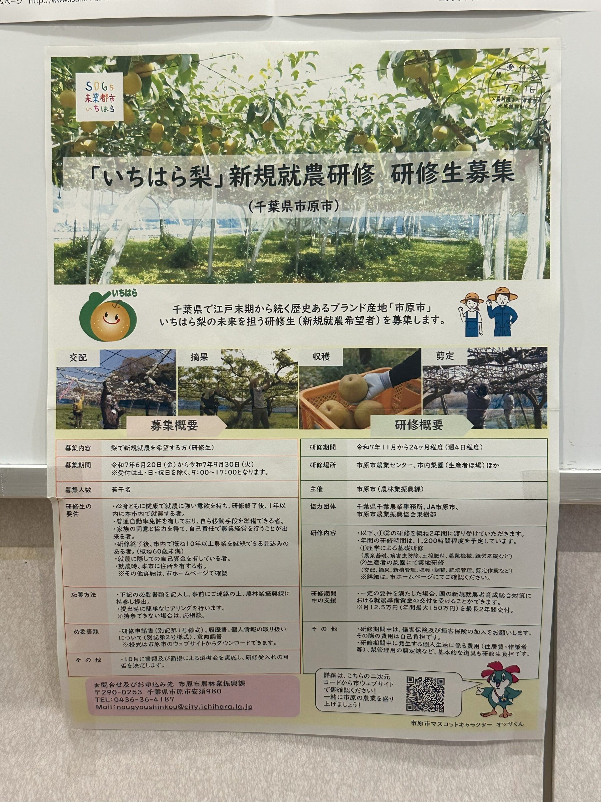 投稿サムネイル