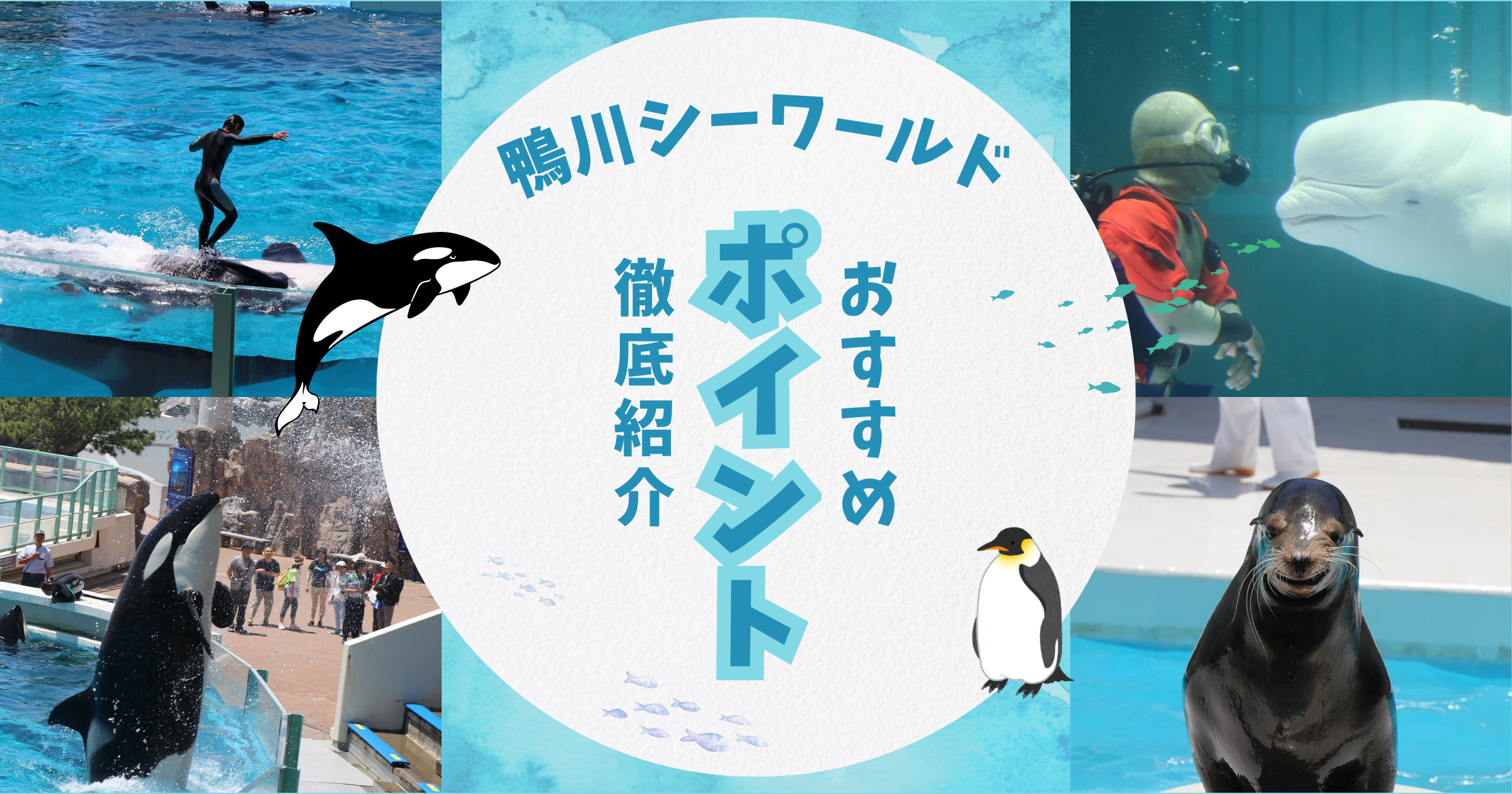 投稿サムネイル