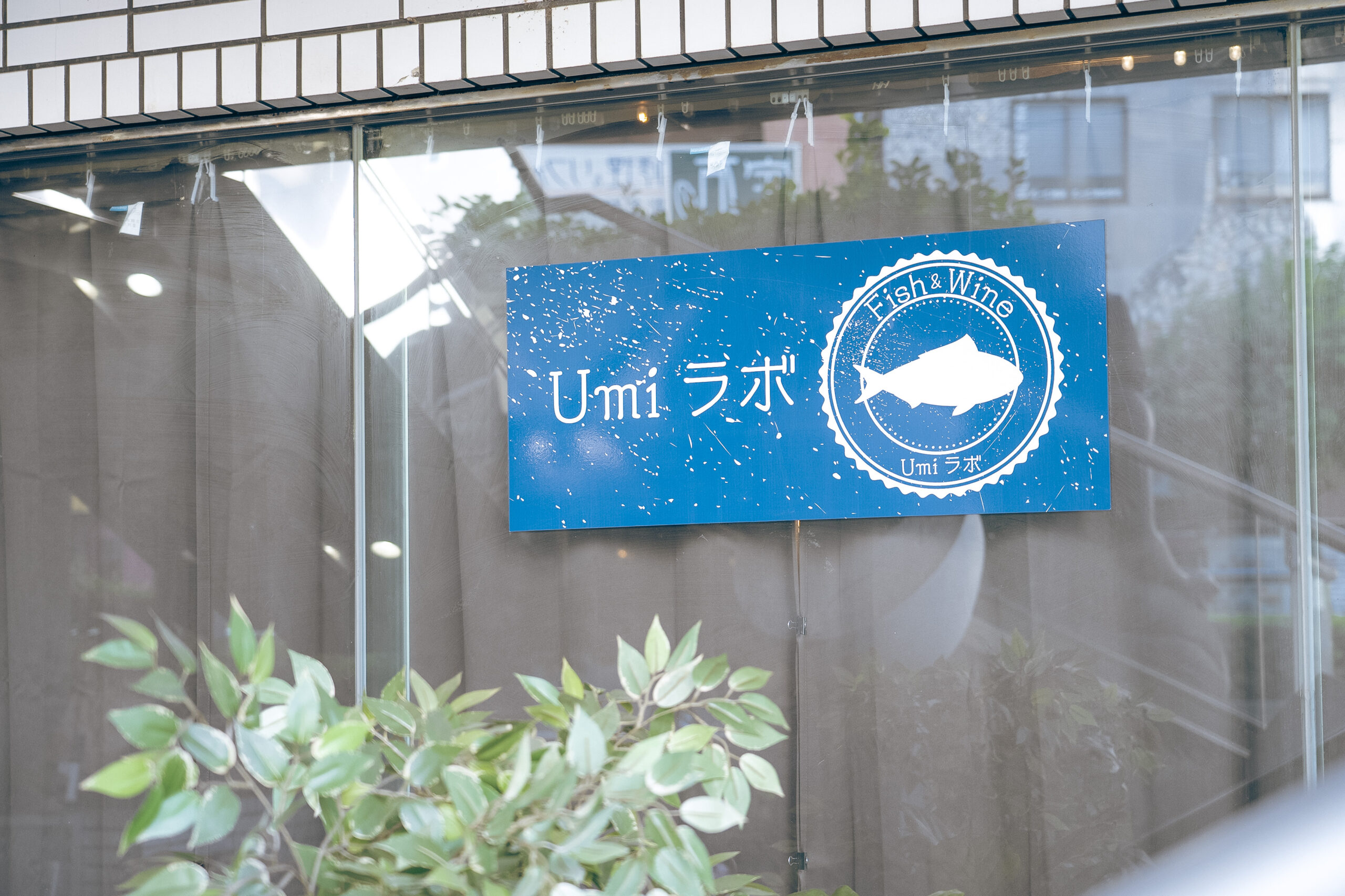 投稿サムネイル