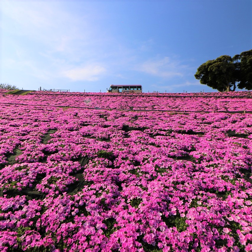 投稿サムネイル