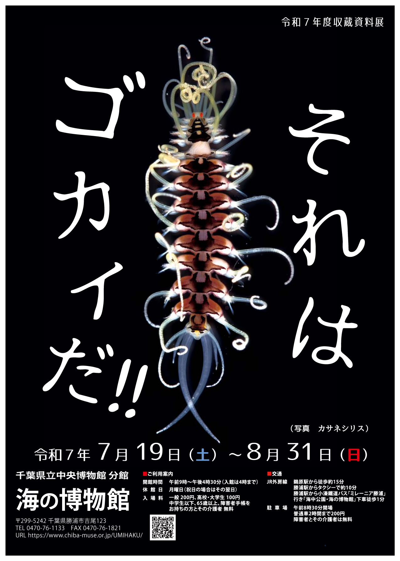 投稿サムネイル