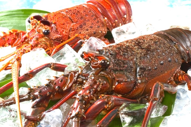 投稿サムネイル