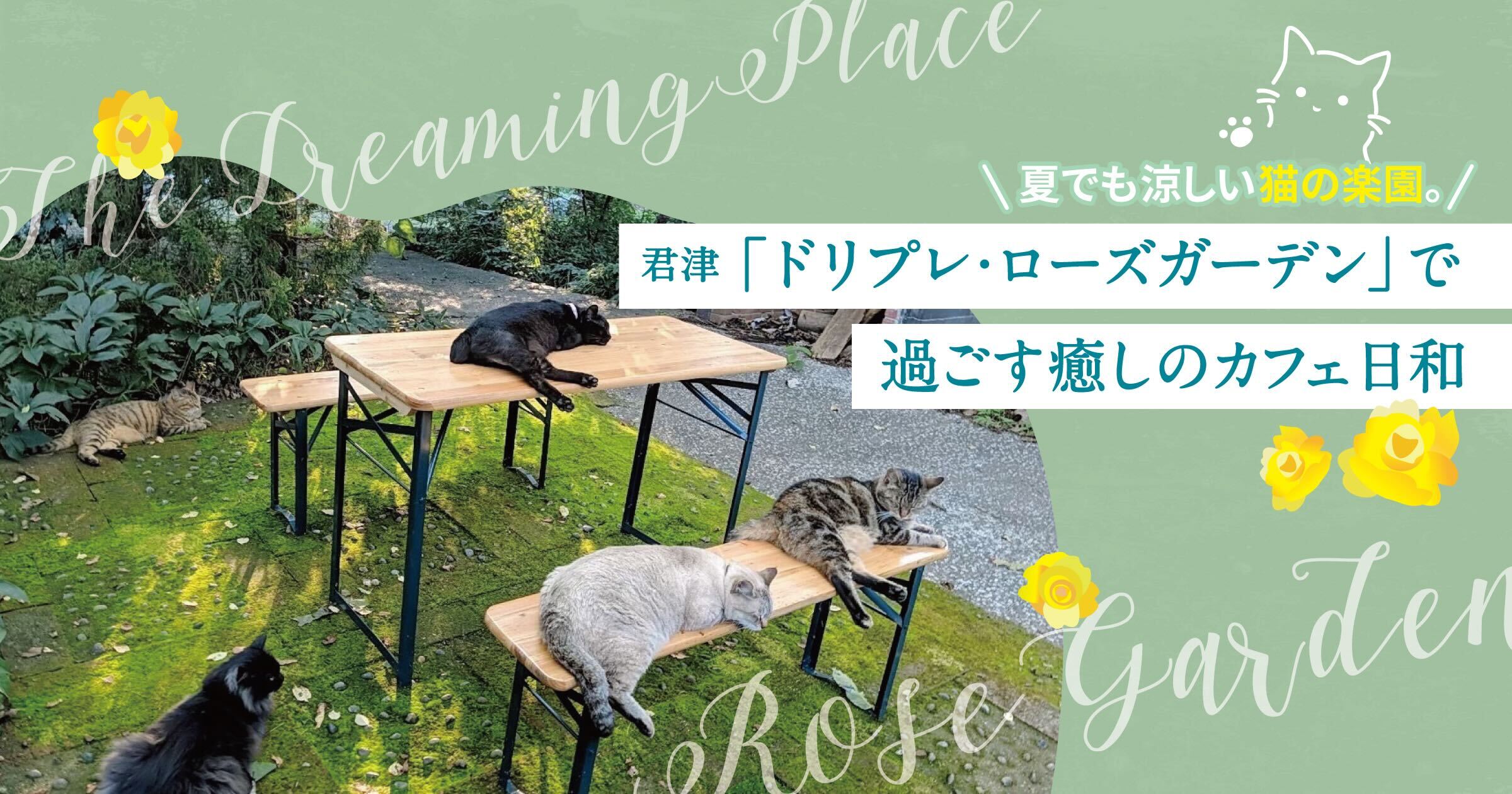 投稿サムネイル