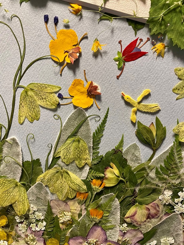 投稿サムネイル