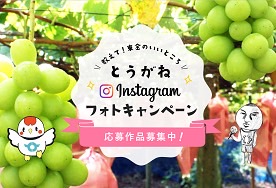 投稿サムネイル