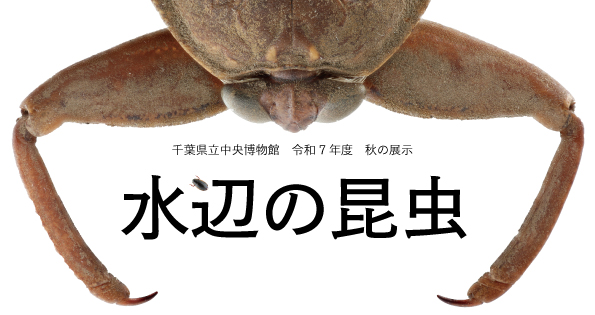 投稿サムネイル