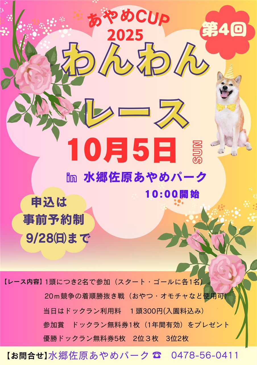 投稿サムネイル