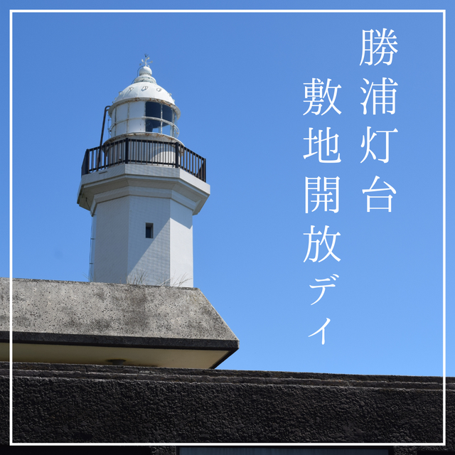 投稿サムネイル