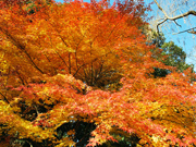 投稿サムネイル