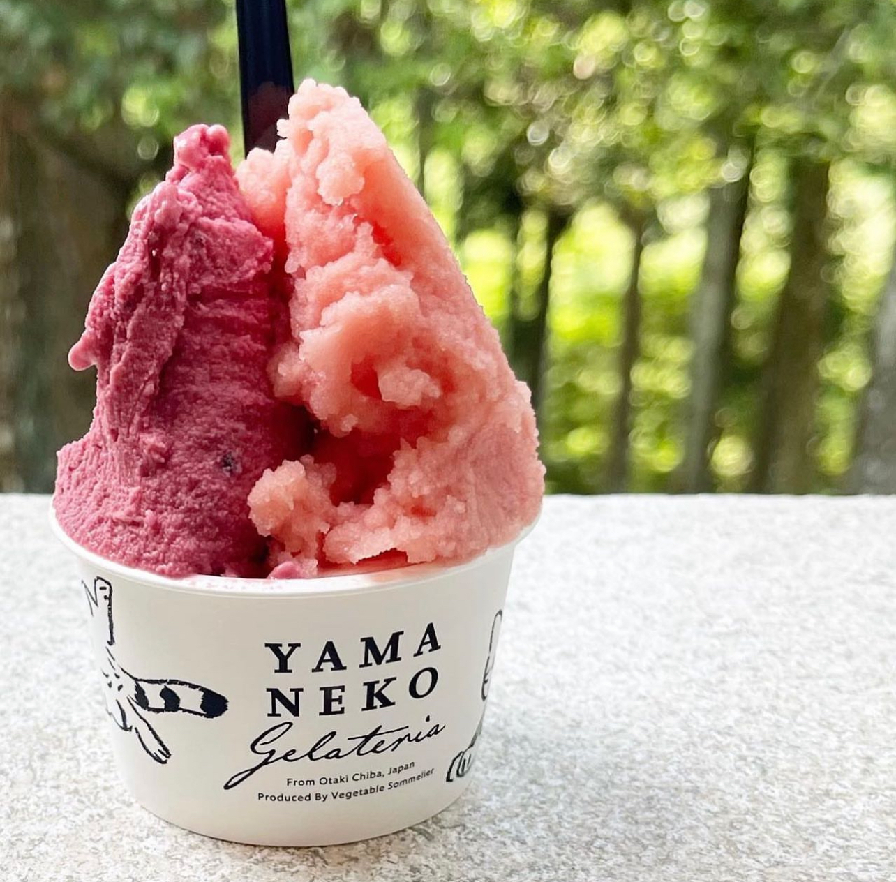 投稿サムネイル