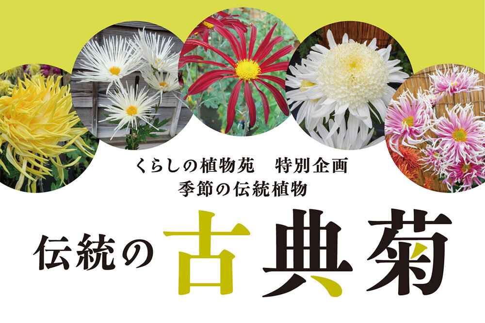 投稿サムネイル