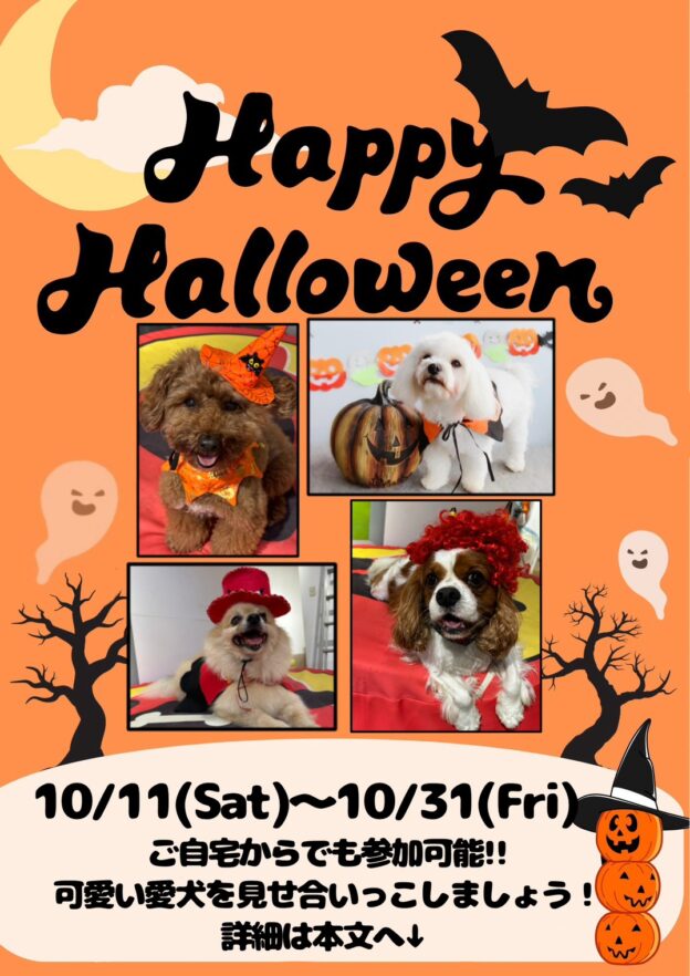 投稿サムネイル