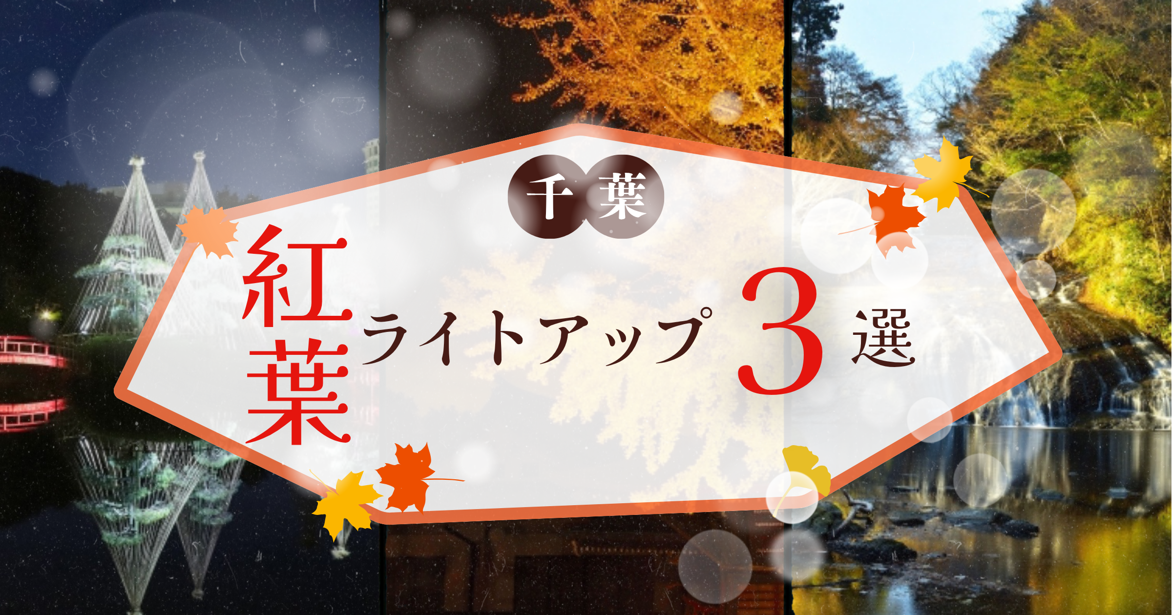 投稿サムネイル