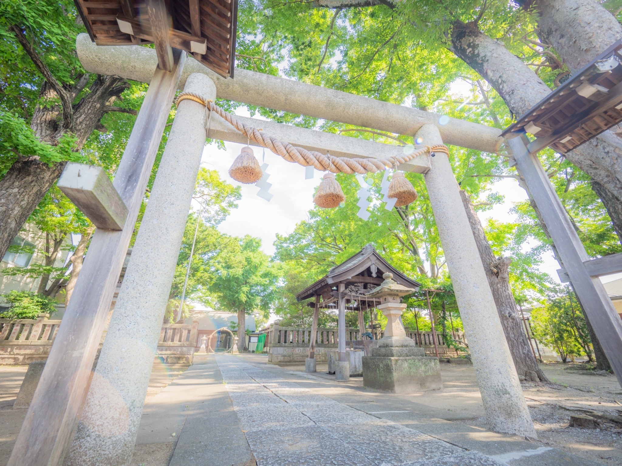 投稿サムネイル