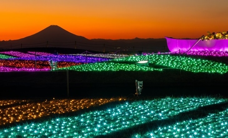 投稿サムネイル