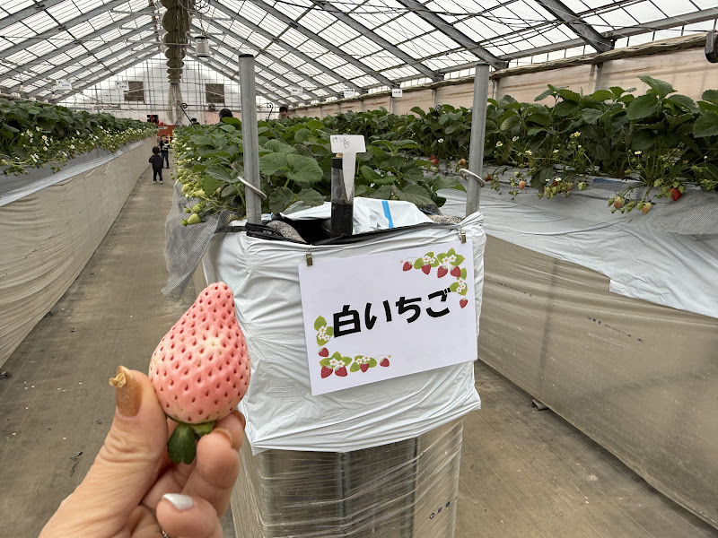 投稿サムネイル