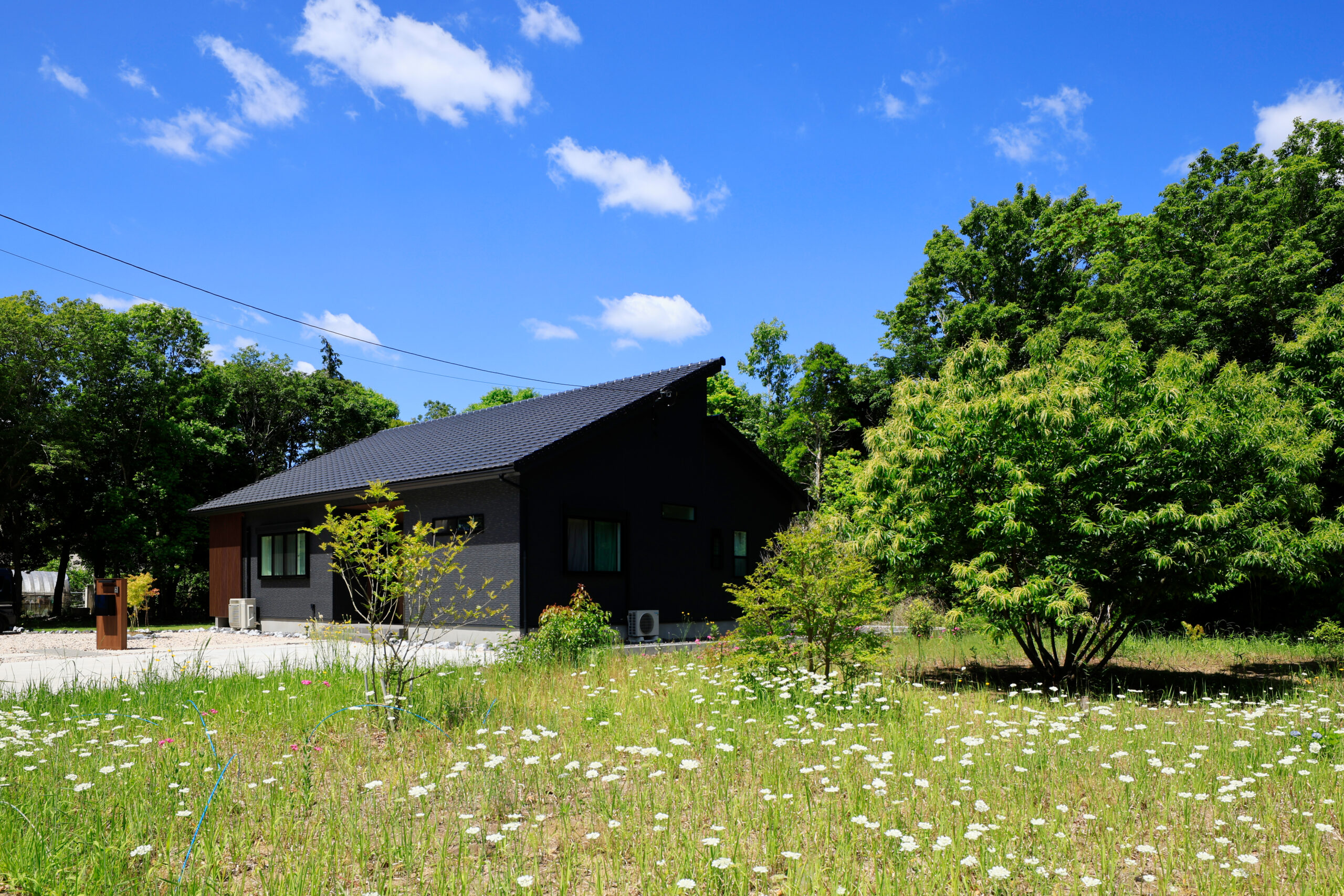 投稿サムネイル