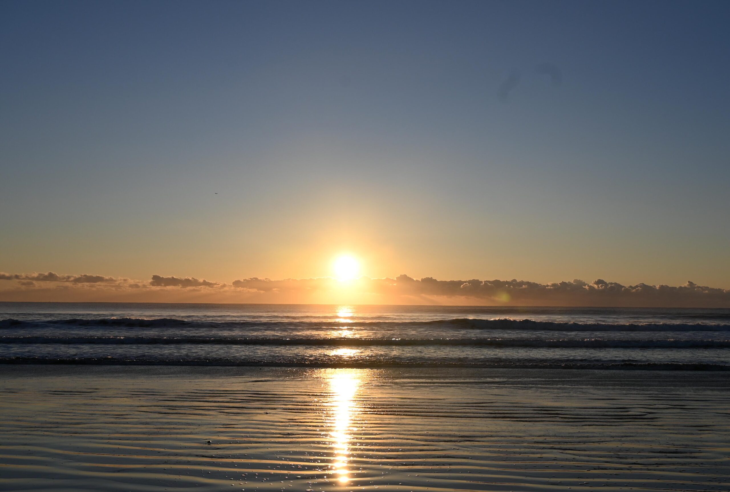 投稿サムネイル