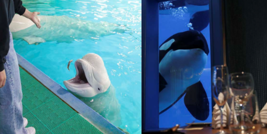 投稿サムネイル