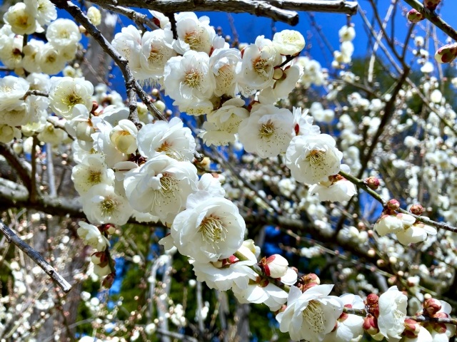 投稿サムネイル