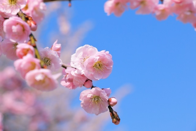 投稿サムネイル