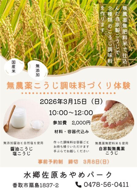 無農薬こうじ調味料づくり体験