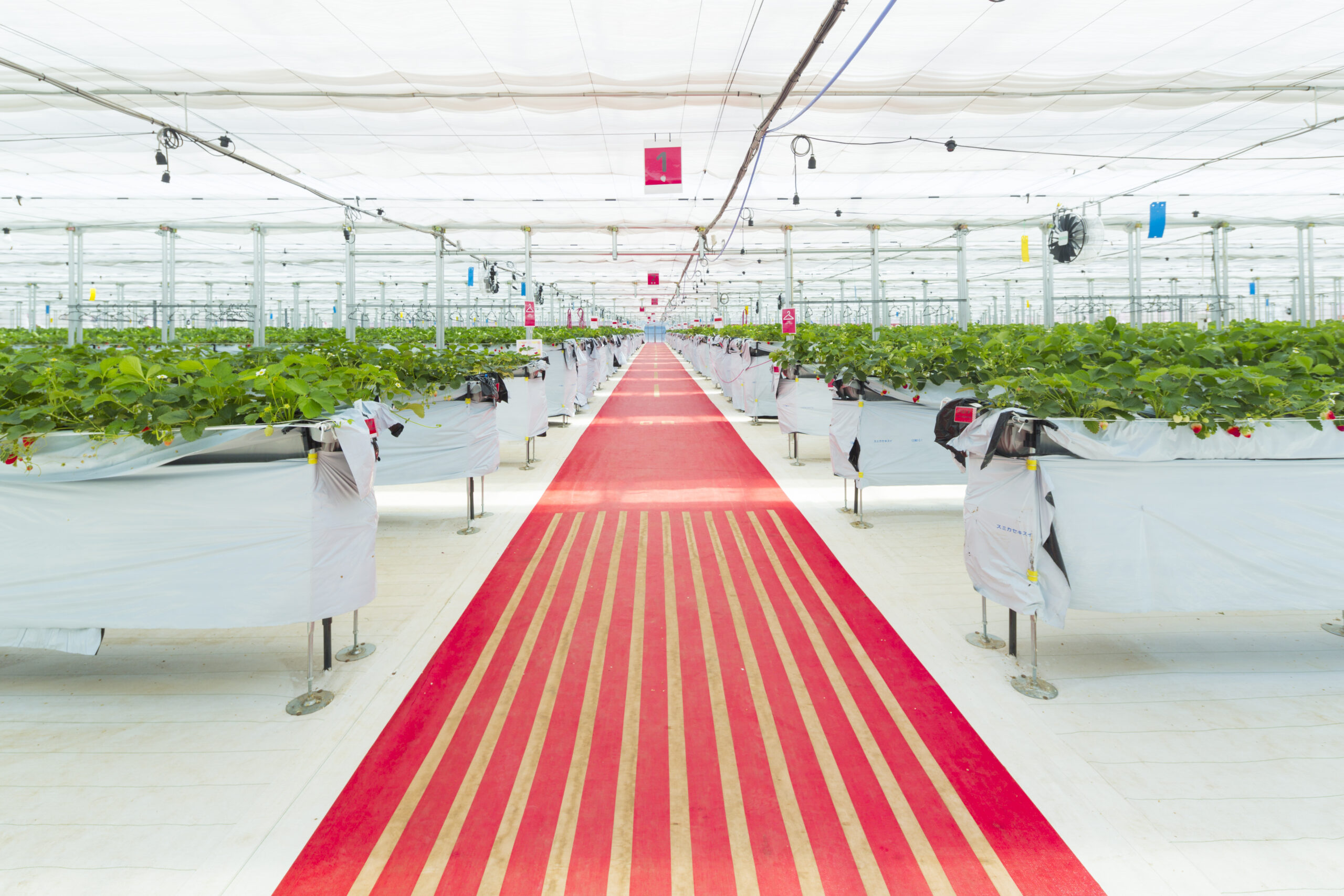 投稿サムネイル