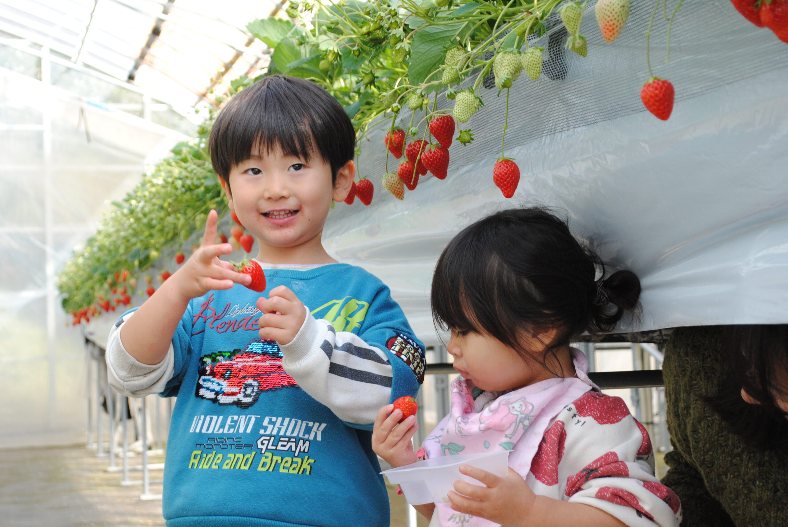 投稿サムネイル