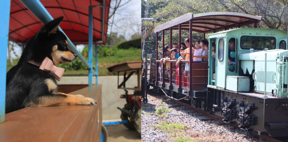 投稿サムネイル