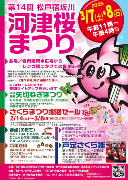 松戸宿坂川河津桜まつり