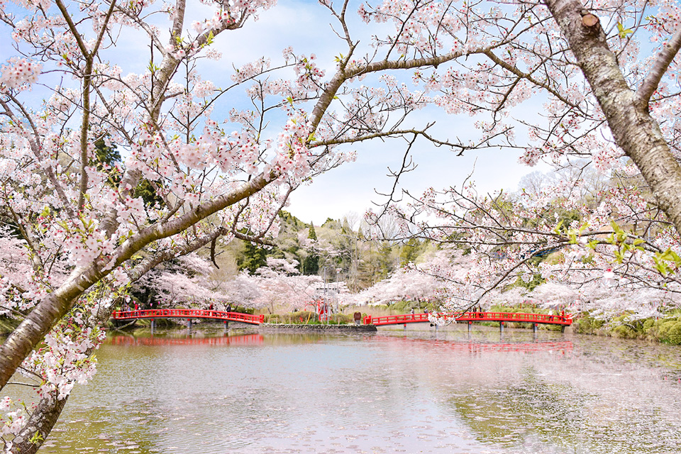投稿サムネイル