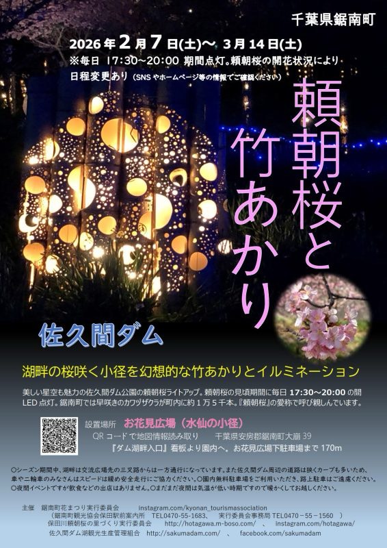 2026頼朝桜と竹あかり