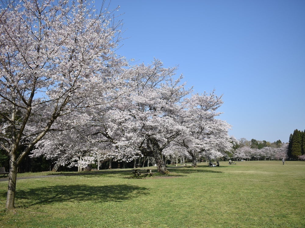 投稿サムネイル