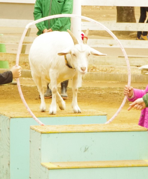 投稿サムネイル