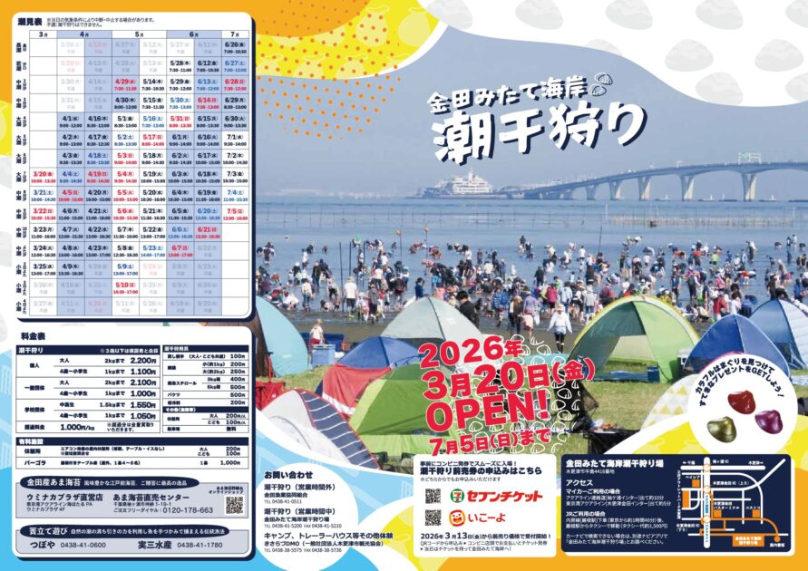 金田みたて海岸　潮干狩り