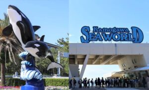 鴨川シーワールド