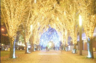 【印西市】「イルミライ★INZAI 〜自然と共生・幻想と夢の街へ〜」(北総線・千葉ニュータウン中央駅周辺)
